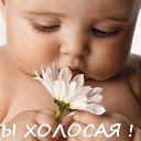���� ������, �����������, 49 ��� - ��������� 23 ���� 2015 � ������ ���� ����������