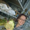 ���� ���������, ���� - ��������� 7 �������� 2015 � ������ ���� ����������