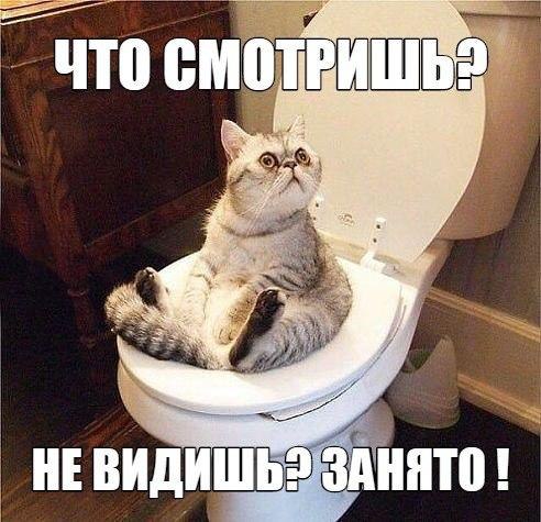  -  - 17  2015  18:25