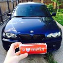 ���� ����, �����������, 33 ���� - ��������� 1 �������� 2015 � ������ ���� ����������