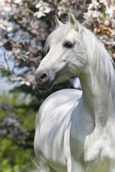   - 13  2015  17:30 - 4