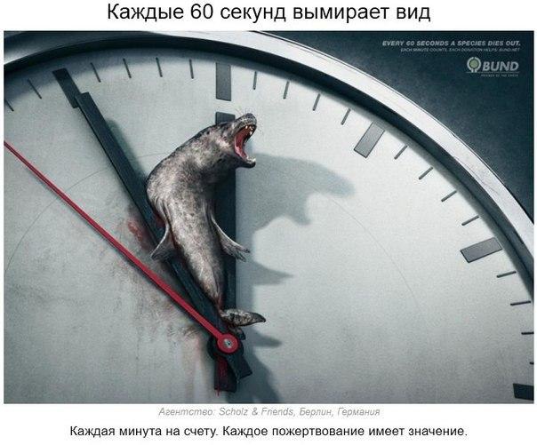 ...    - 10