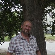 , 65 , 