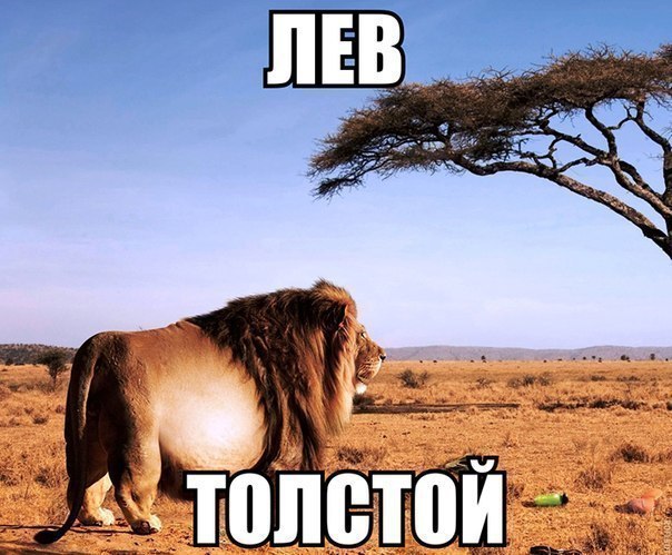  - 18  2015  10:43