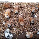 ���� �����, �����, 48 ��� - ��������� 18 ������� 2015 � ������ �10�