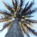 ���� Vladymyr, ����������, 50 ��� - ��������� 9 ������� 2015 � ������ ���� ����������