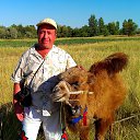 ���� ���������, �����, 58 ��� - ��������� 8 ������� 2015 � ������ ���� ����������