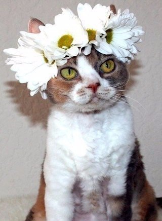 Весна пришла ко всем! - 4