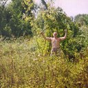 2013 ���. ��� �������. �� ������� ���� ����������