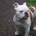 ��� ����� ������ �������!!! �� ������� ����������