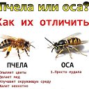  , , 45  -  1  2015