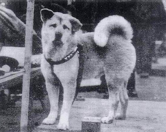    10 , 1933 .