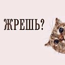 ���� ���������, �����������, 60 ��� - ��������� 5 ���� 2015 � ������ ������ ��������