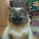 ����������� ��������� �� ������� ���� ����������