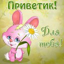 ���� �������, ������� - ��������� 21 �������� 2015 � ������ �������� ��������