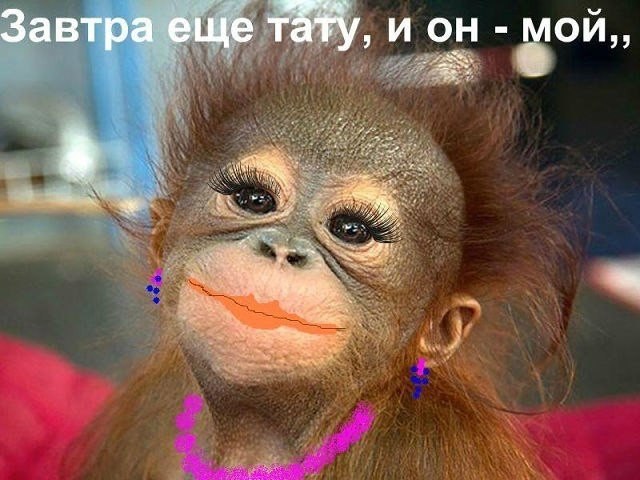   - 2  2015  22:22