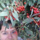 ���� �������, �����, 64 ���� - ��������� 28 ������� 2015 � ������ ���� ����������