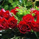 ���� **Markiza*c*250*, ����� - ��������� 17 ���� 2015 � ������ �**************�
