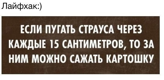   - 7  2015  17:13