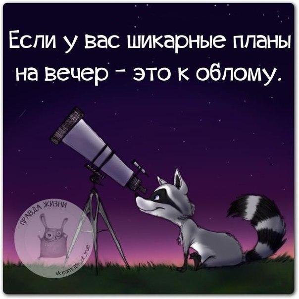   - 27  2015  16:44
