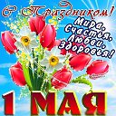 ���� ������, ����� - ��������� 1 ��� 2015 � ������ ������ ��������