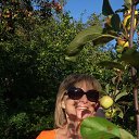 ��������� ��� 23.08.2015 �� ������� ���� ����������