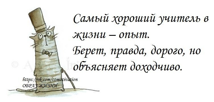 Берет правда. Смешные цитаты про опыт. Смешные фразы про опыт. Фразы про опыт и ошибки. Высказывания про опыт с юмором.