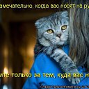 ���� Vladimip, �����������, 60 ��� - ��������� 5 ������� 2015 � ������ ���� ����������