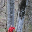 ���� �������, ������-��-���� - ��������� 2 �������� 2015 � ������ ���� ����������