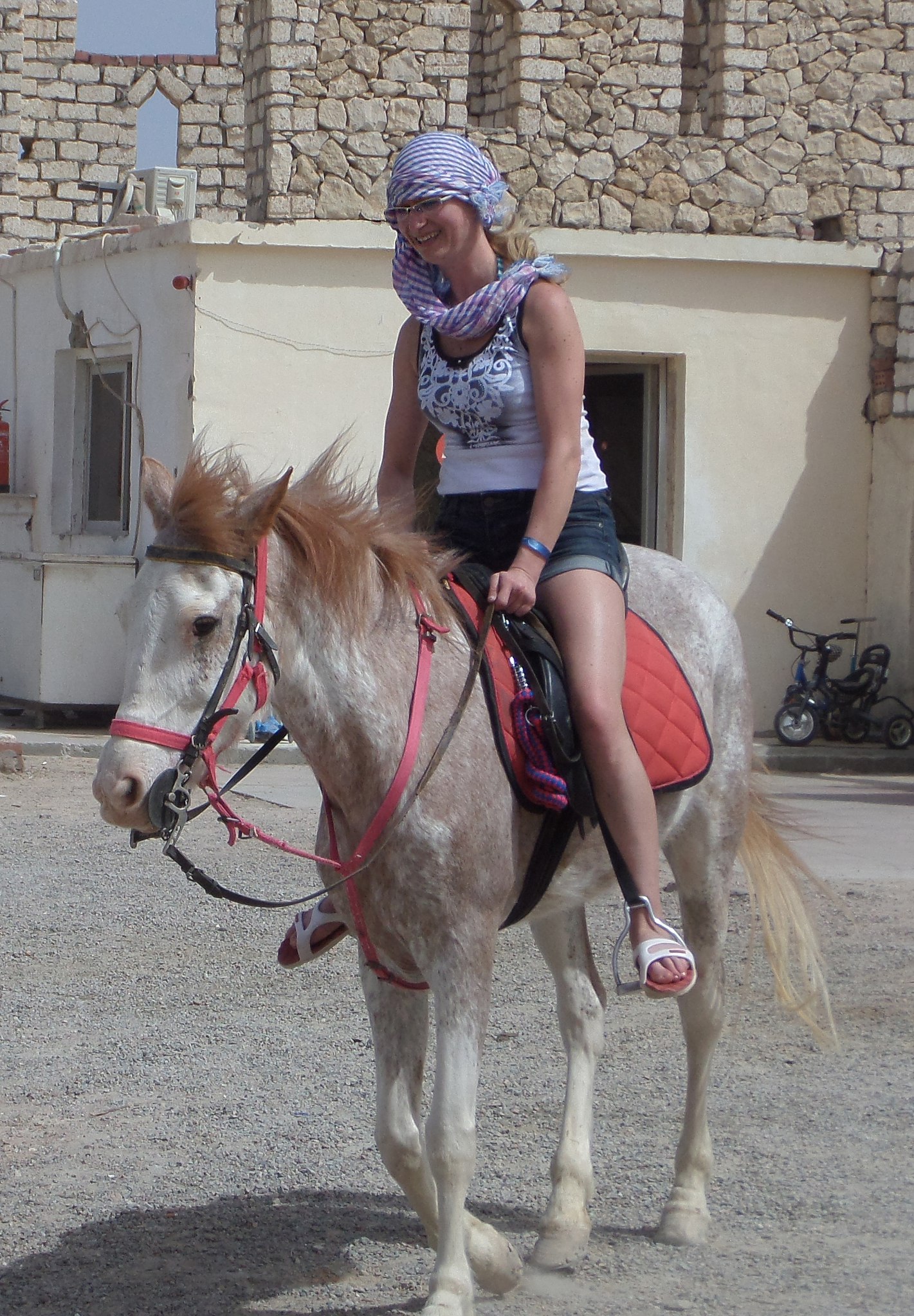   - 21  2015  14:01 - 6