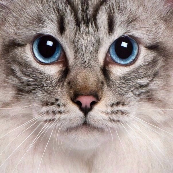       - 22  2015  05:02 - 4