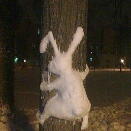 ����������, ������, 61 ���