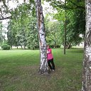 �.���������� �� ������� ���� ����������