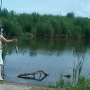 ���� ������, ������, 56 ��� - ��������� 9 ���� 2015 � ������ ���� ����������