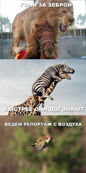    :D - 19  2015  16:47