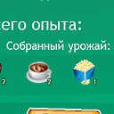  ,  -  2  2015       . 12  2015- ... ..