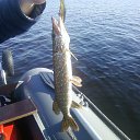 �������. �� ������� ���� ����������