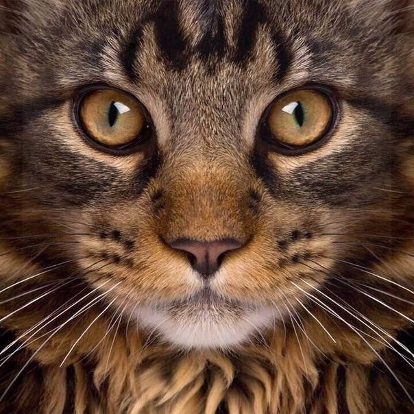       - 22  2015  05:02 - 5