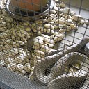    -  ,  -  4  2015    2014.  .  3-.