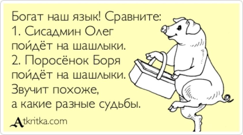 Почему вася отказывался покупать поросят в начале. Стихи про свинство людей. Смешные цитаты про свиней. Смешные фразы про свиней. Цитаты о людях без мозгов.