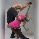 ���� ����, �������, 53 ���� - ��������� 23 ��� 2015 � ������ ���� ����������