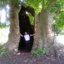 ���� ������, ������������, 41 ��� - ��������� 25 ���� 2015 � ������ ���� ����������