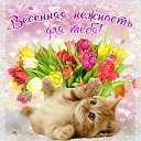 ���� Irina, ������ - ��������� 22 ���� 2015 � ������ �������� ��������