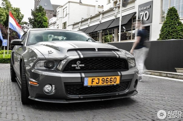 Shelby GT500 - 8