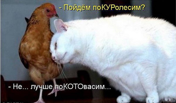  - 7  2015  22:34
