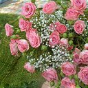 ���� ������, ����� - ��������� 12 ��� 2015 � ������ ���� ����������