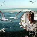 ���� ����, �����������, 72 ���� - ��������� 20 ��� 2015 � ������ ���� ����������