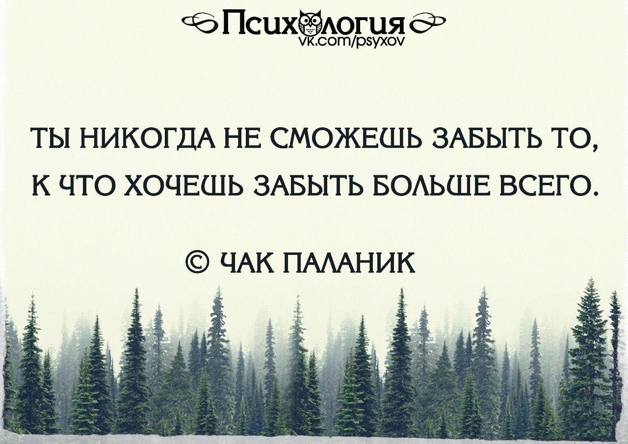  - 17  2015  18:28