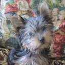 ���� ������, �����-��������� - ��������� 13 ���� 2015 � ������ ������ ��������