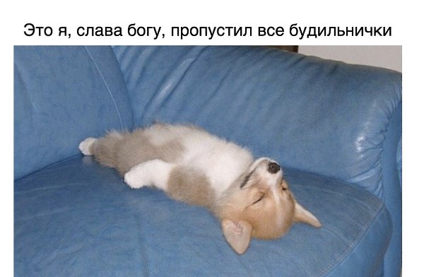  ,    . - 13